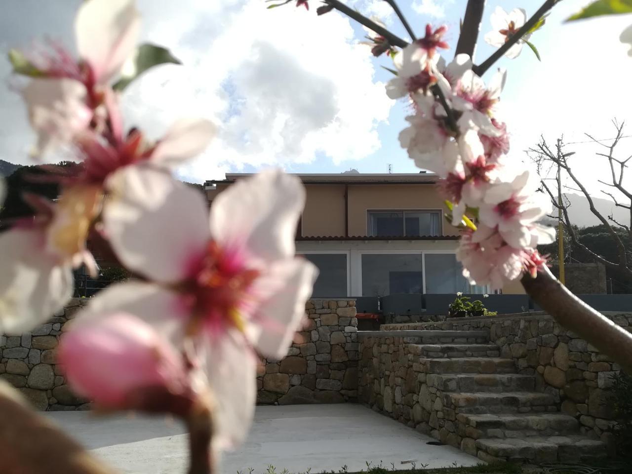 B&B Capo Al Piano Marciana Marina (Isola d'Elba) Exterior foto